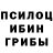 Псилоцибиновые грибы мицелий dakill pro