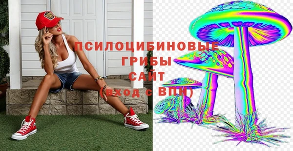 молекула духа Мегион