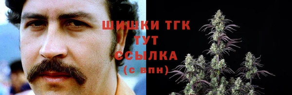 молекула духа Мегион