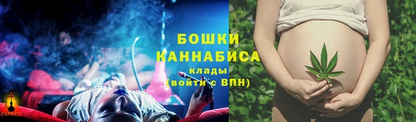 ECSTASY Медногорск