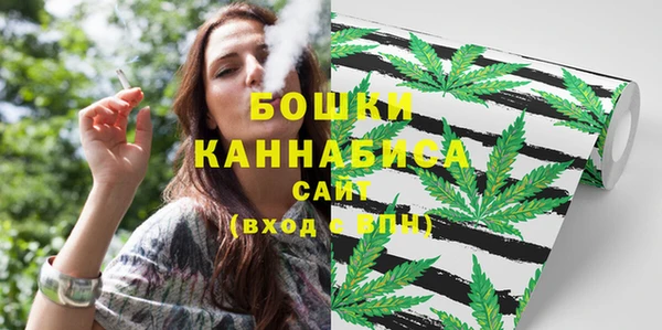 стаф Мурманск