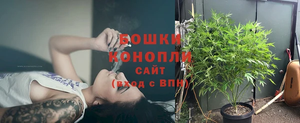 молекула духа Мегион