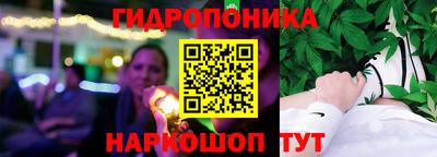 крисы Берёзовский