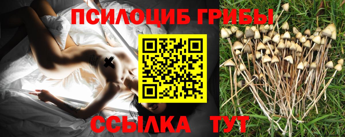 Североморск  Псилоцибиновые грибы мухоморы  где можно купить   Вход с VPN 