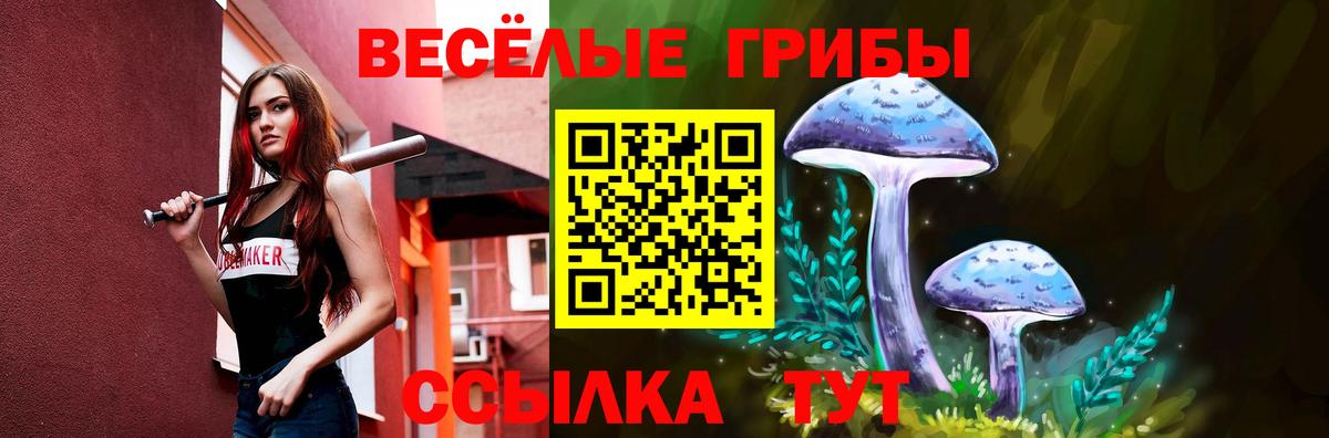 Галлюциногенные грибы MAGIC MUSHROOMS Североморск